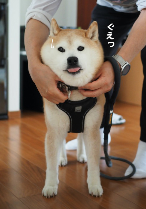 8日夕ブログ５