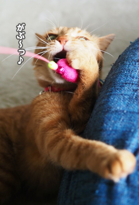 25日夕ブログ１５