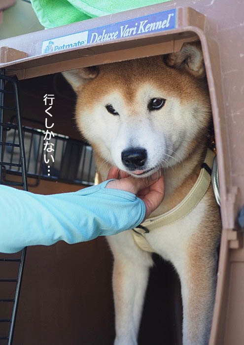 7日ブログ７