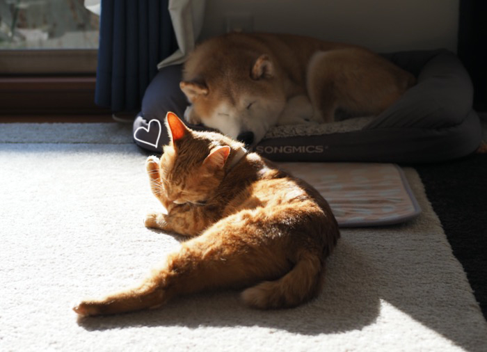 20日ブログ3