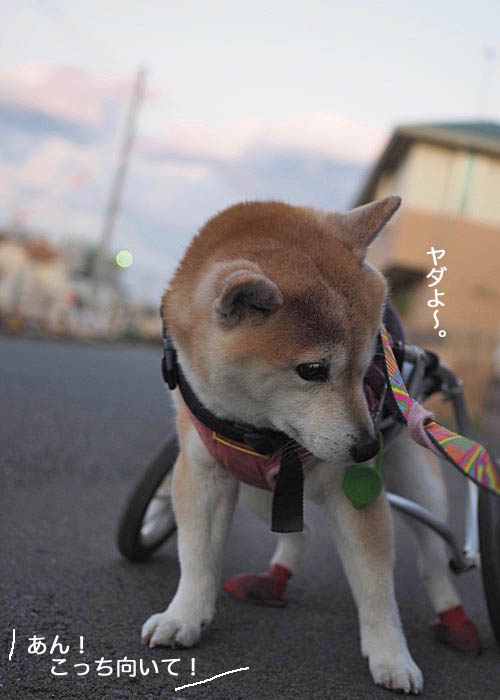 6日ブログ２