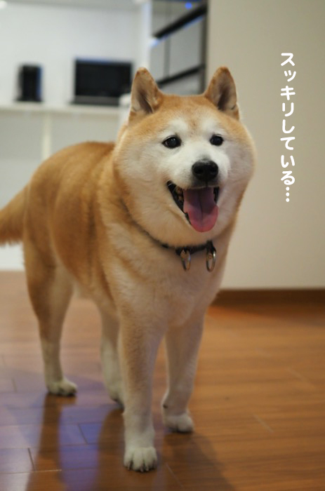 31日夕ブログ３