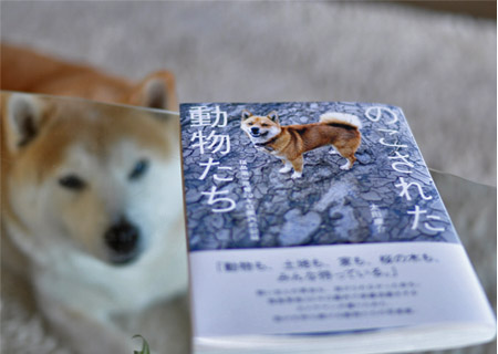 23日ブログ9.jpg