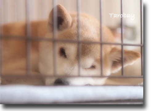 25日ブログ5.jpg