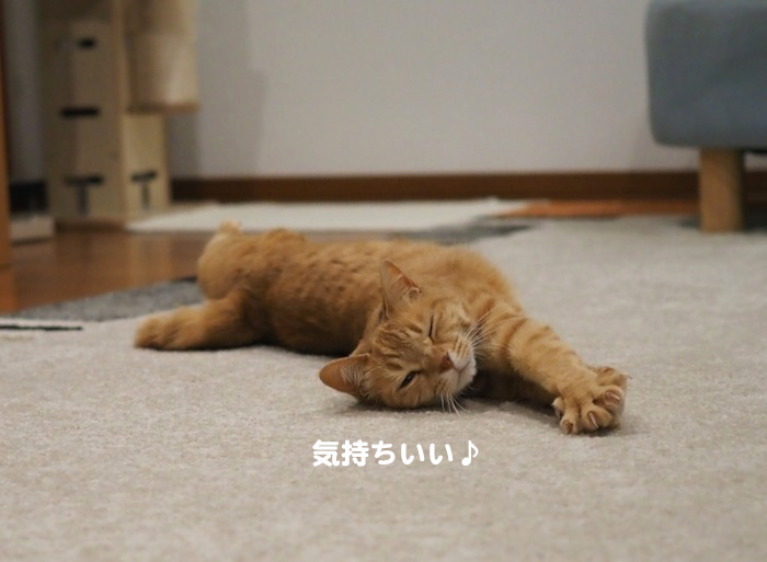 10日ブログ５
