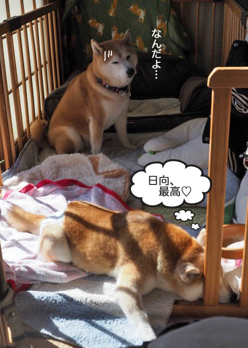 9日夜ブログ６