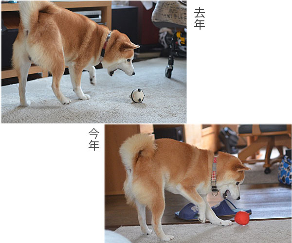 14日ブログ5