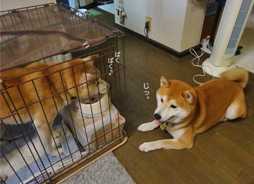 31日ブログ6.jpg