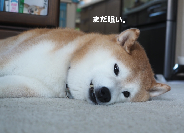 7日夕ブログ３