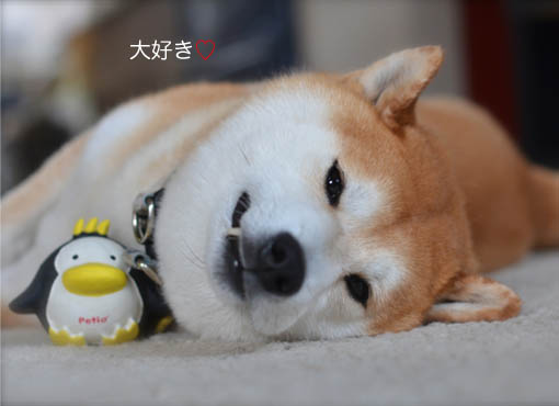 2.3日ブログ3.jpg