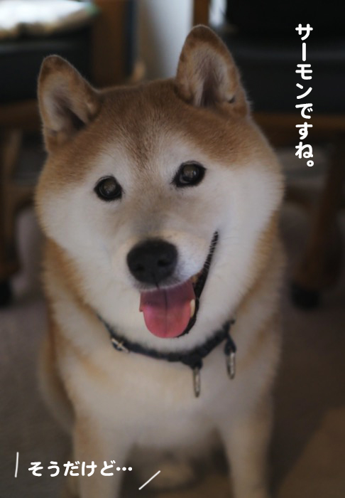23日夕ブログ３