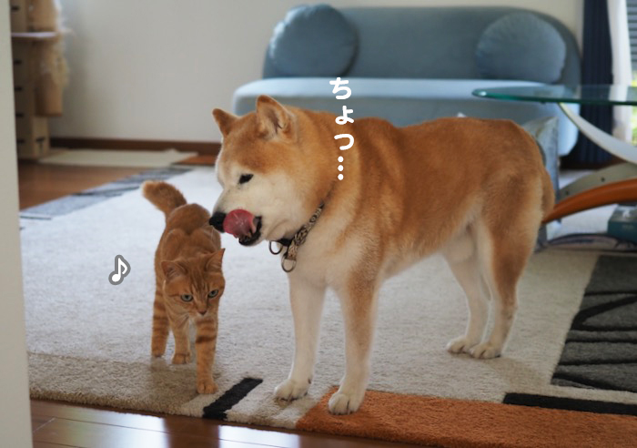 12日夕ブログ3