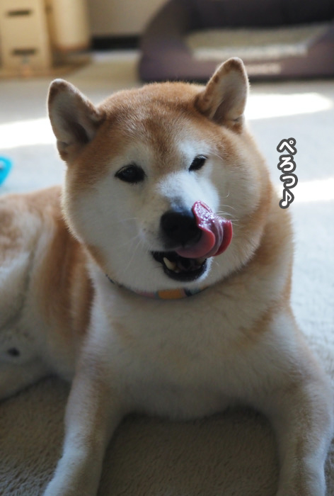 21日夕ブログ９