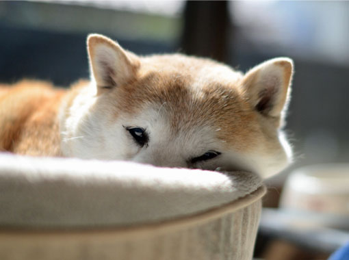 4日ブログ6.jpg