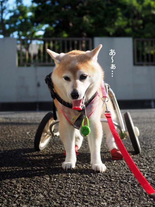 1日ブログ２