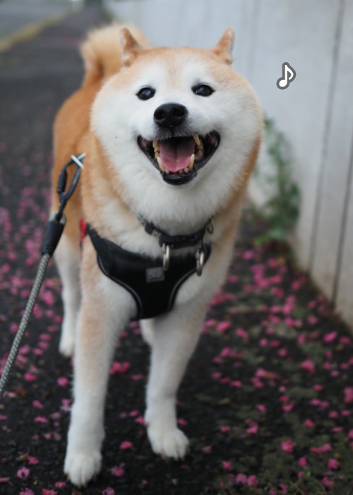 30日夜ブログ９