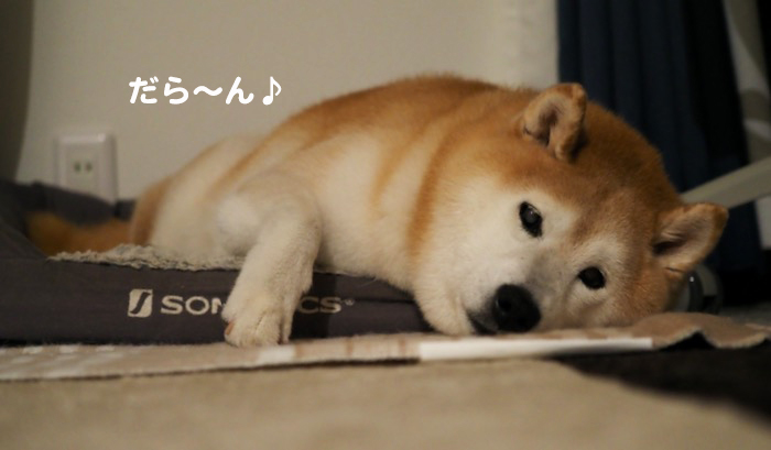 25日ブログ２