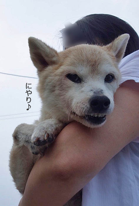 14日ブログ２