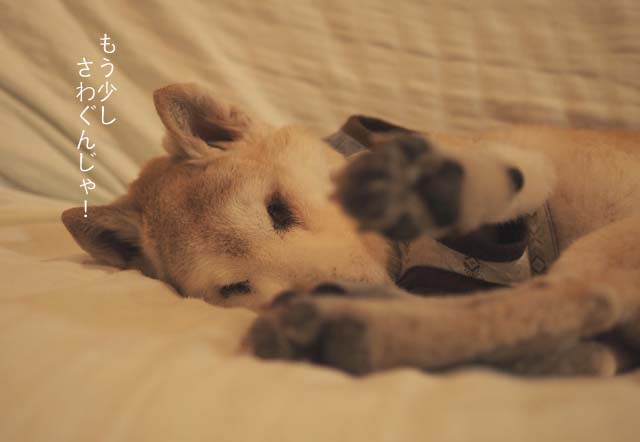 23日ブログ3