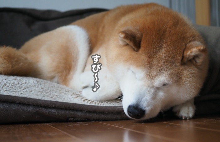 5日夕ブログ８
