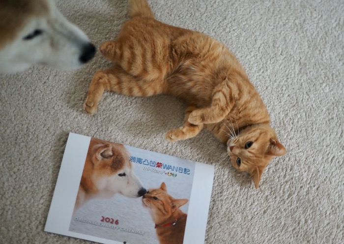 14日夕ブログ９