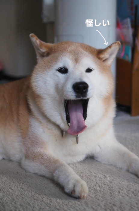 30日ブログ１
