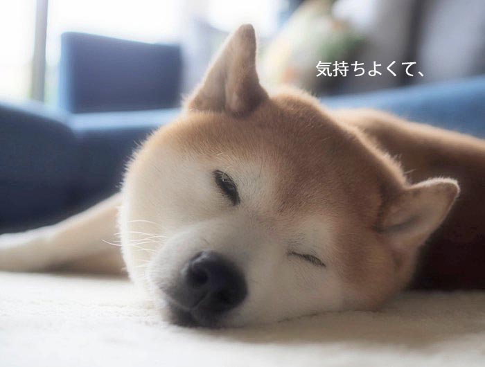 21日ブログ５