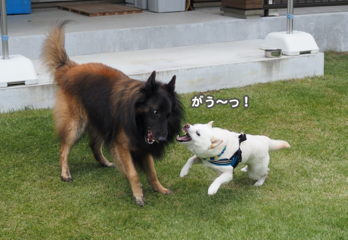 7日夕ブログ１８