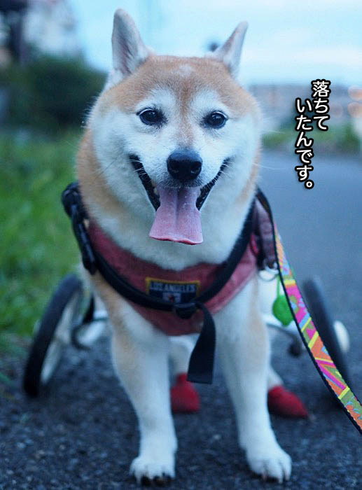 4日午後ブログ２