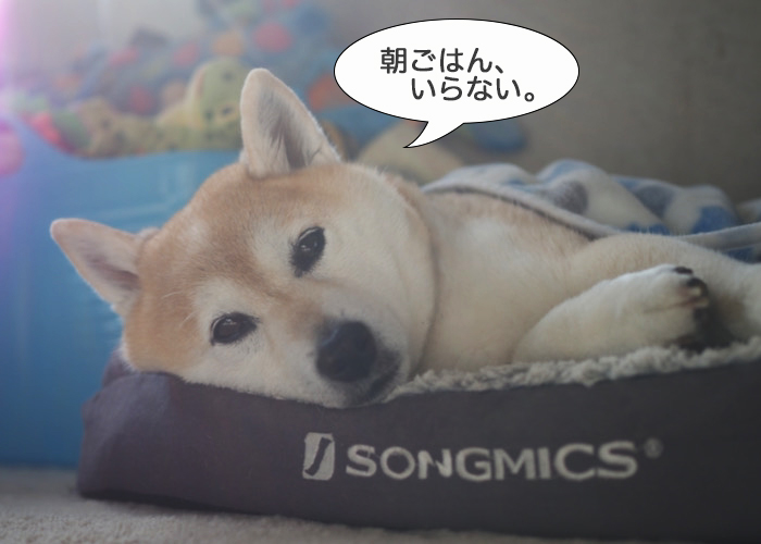 23日夜ブログ２