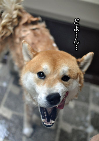 27日ブログ4.jpg