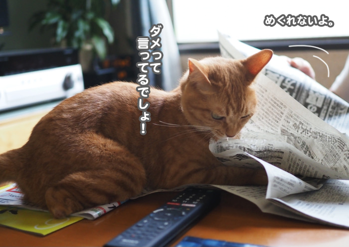 2日夕ブログ３