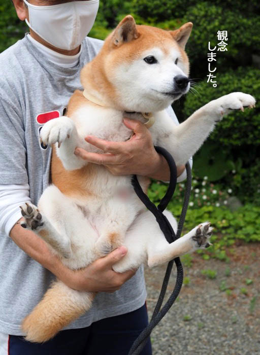 12日夜ブログ５