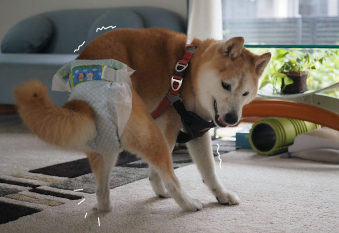 7日ブログ２