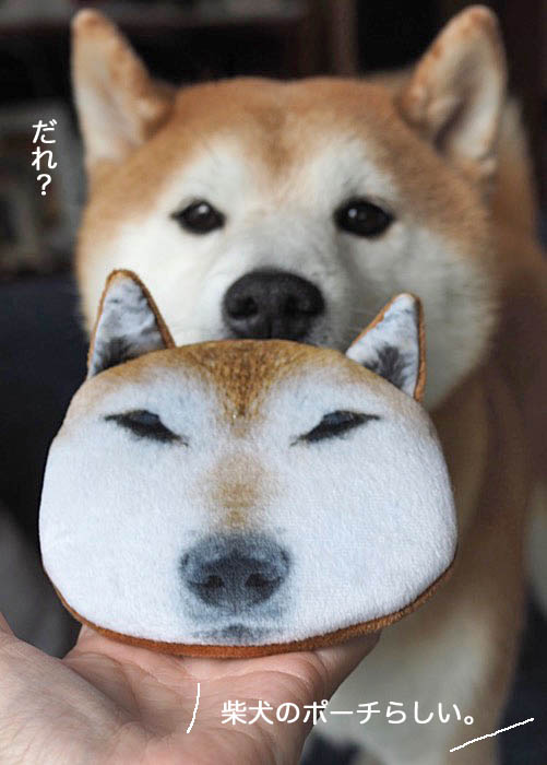 14日ブログ２