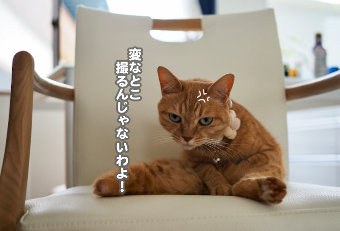 14日夕ブログ８