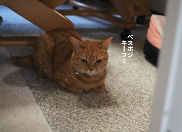 16日ブログ２