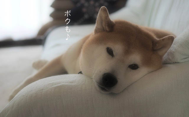4日ブログ8