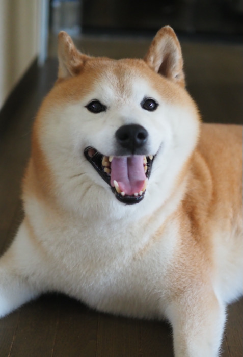 22日ブログ２