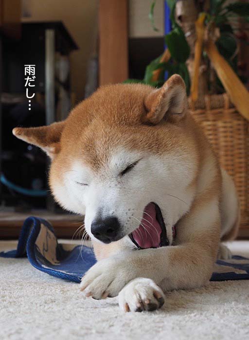 4日ブログ５