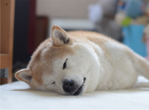 31日ブログ6.jpg