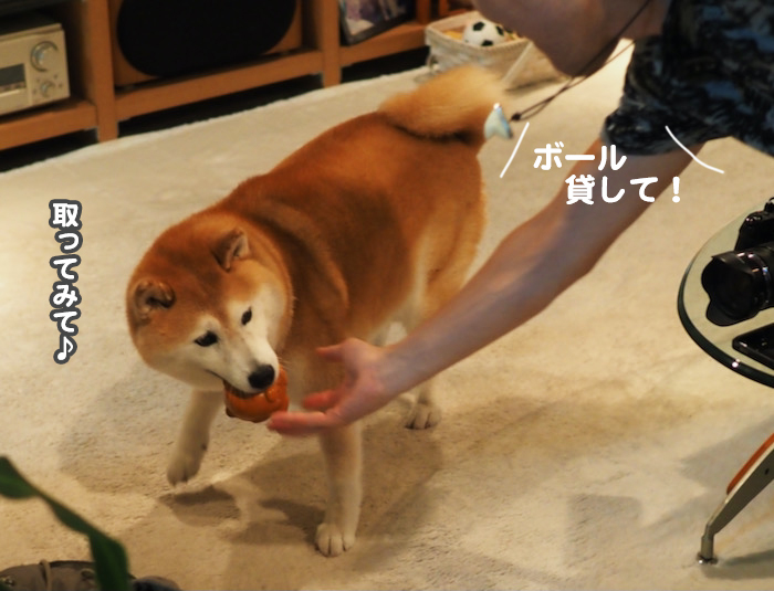 4日夜ブロ６