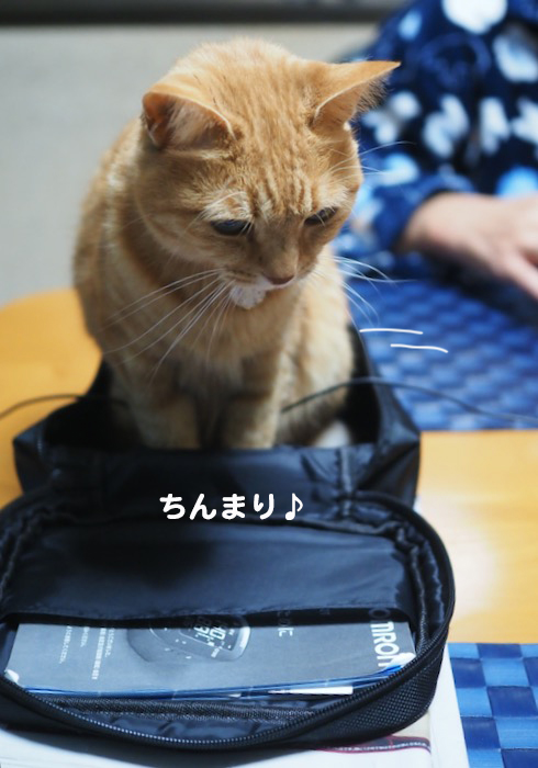 26日ブログ２