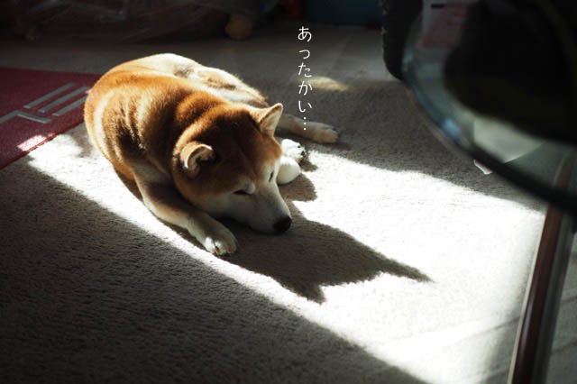 27日ブログ2