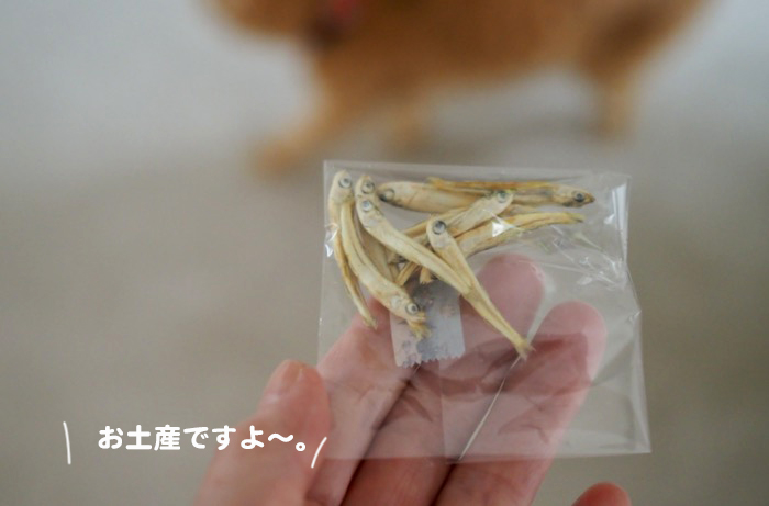 15日ブログ５