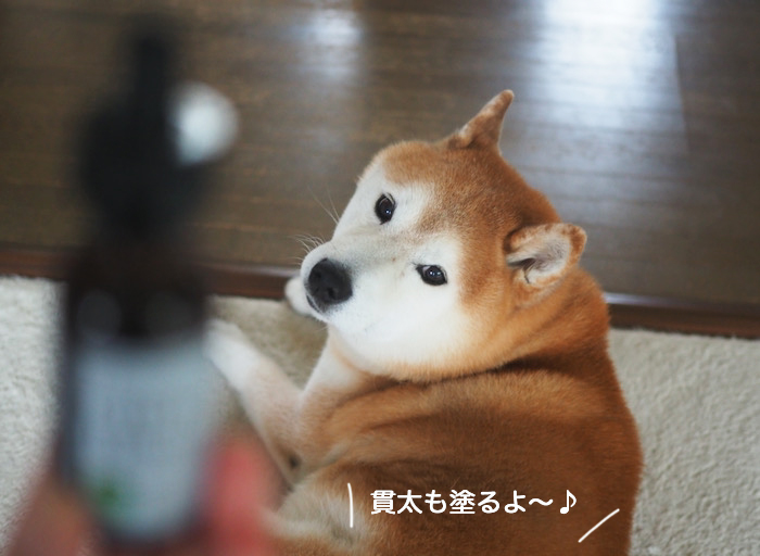 11日夜ブログ８