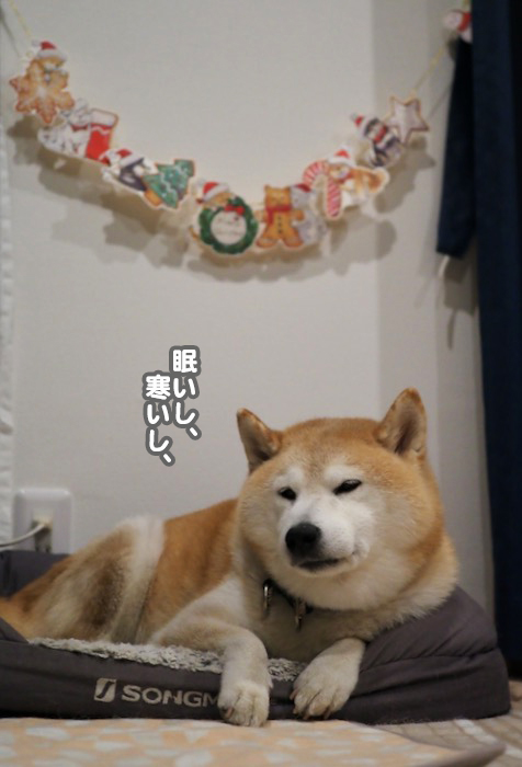 24日ブログ４