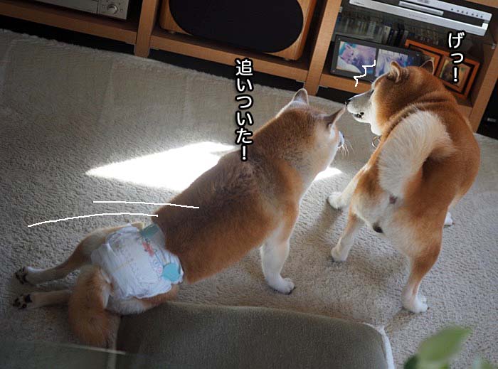 30日夕ブログ８
