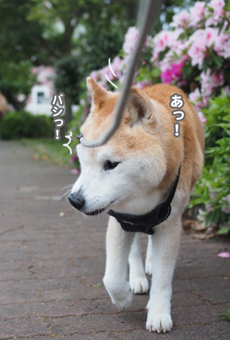 22日ブログ２