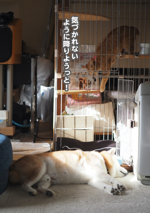 18日ブログ５